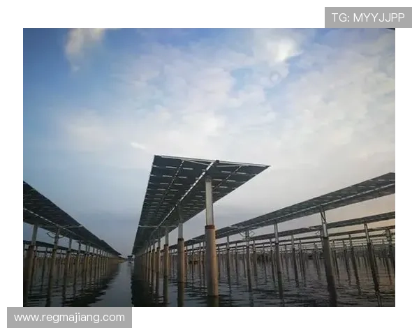 深入了解AG电投网如何打造公平公正的游戏环境与高效的用户服务