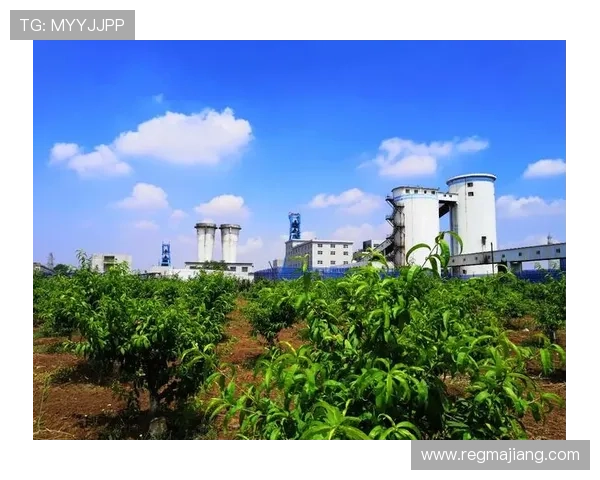 AG亚游娱乐官网积极响应国家政策推动绿色健康娱乐环境打造行业标杆